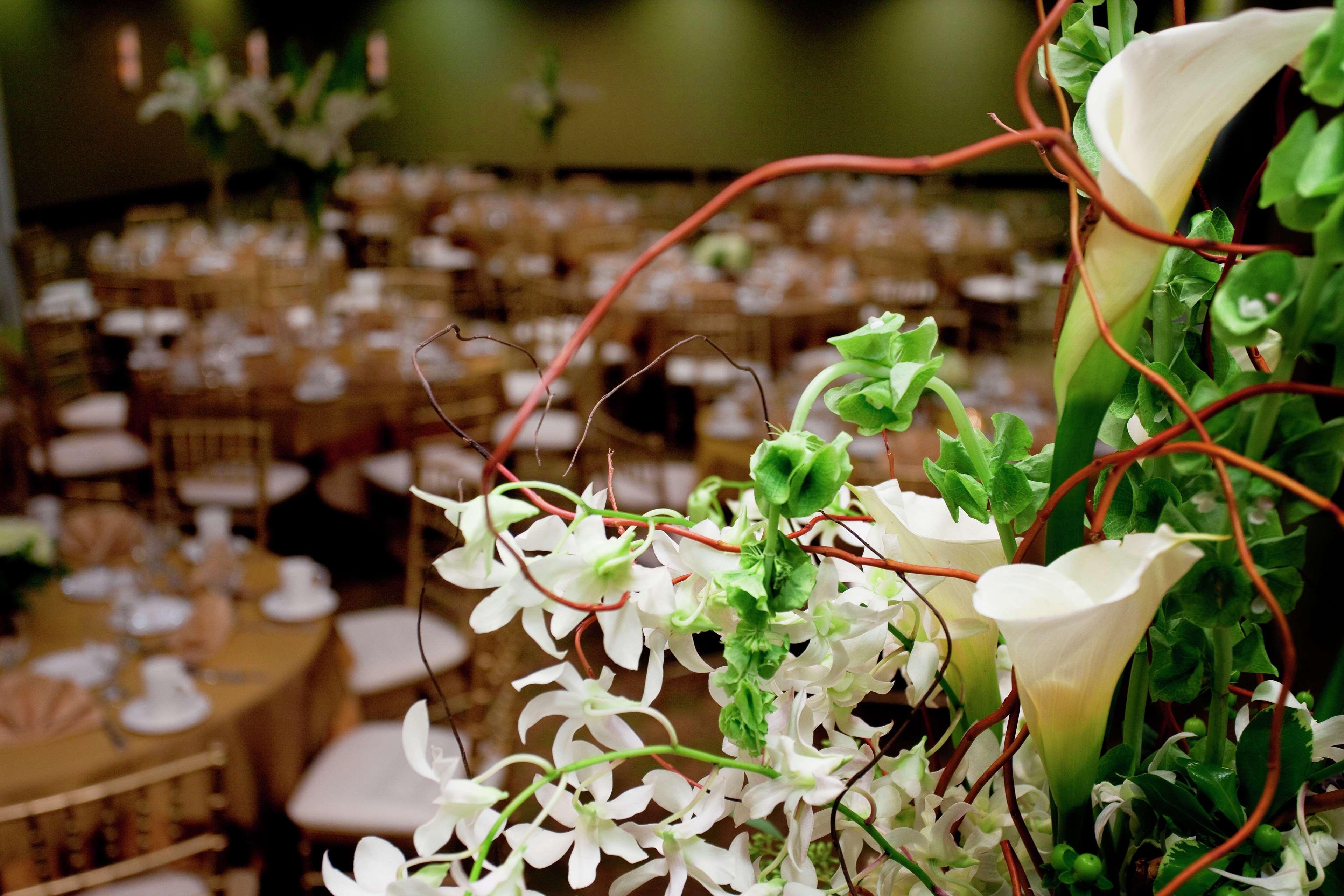 Hilton Garden Inn Seattle/Bothell Kültér fotó